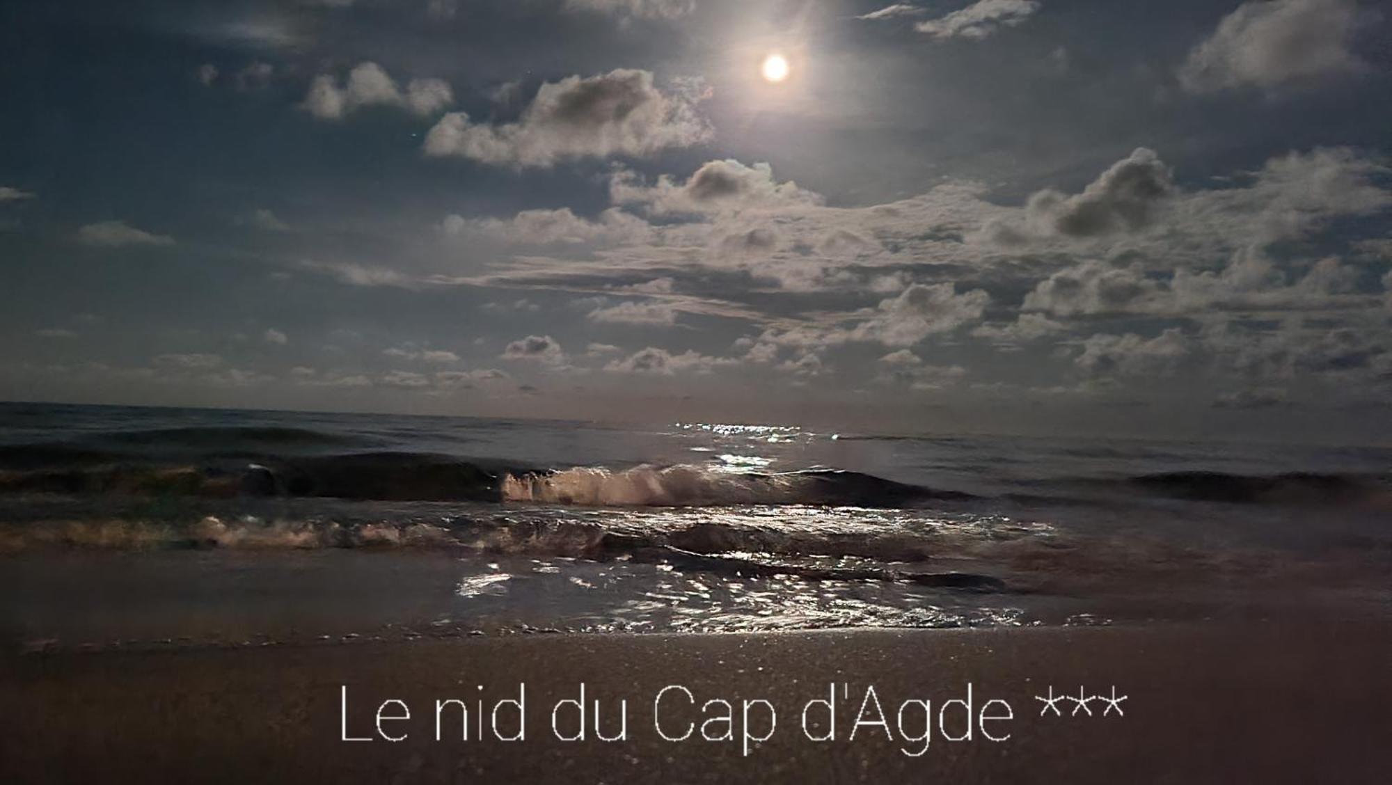 Residence De Standing La Pecherie Spacieux T3 Comme Un Cocon Familial Vue Mer Et Sur L'Avant Port Sur Le Bout Du Bout De Cap D'Agde Seule Cap En Occitanie Ngoại thất bức ảnh