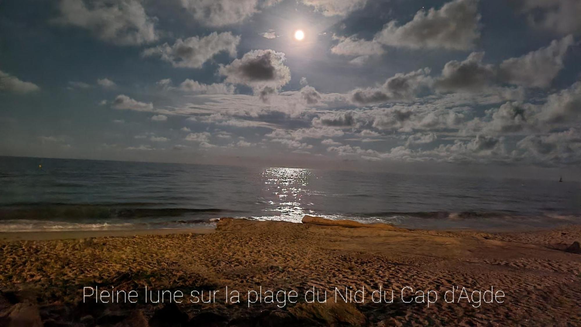 Residence De Standing La Pecherie Spacieux T3 Comme Un Cocon Familial Vue Mer Et Sur L'Avant Port Sur Le Bout Du Bout De Cap D'Agde Seule Cap En Occitanie Ngoại thất bức ảnh